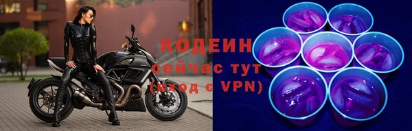прущие грибы Карталы
