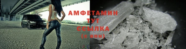 прущие грибы Карталы