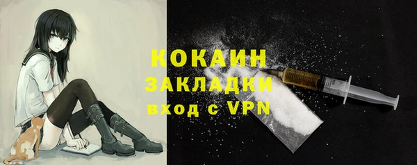 прущие грибы Карталы
