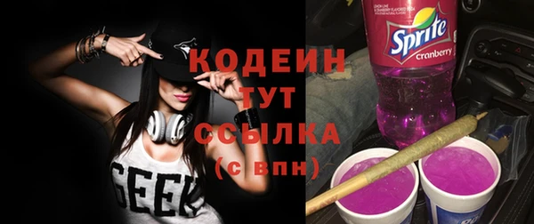прущие грибы Карталы