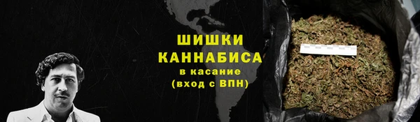 хмурый Карпинск
