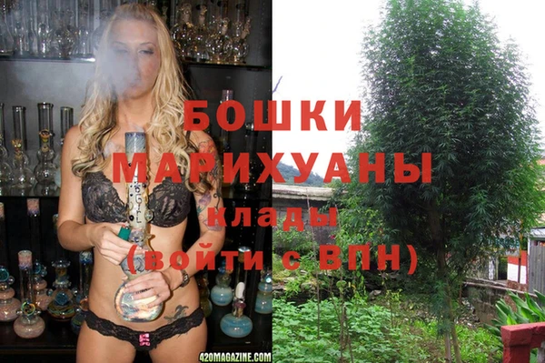 хмурый Карпинск