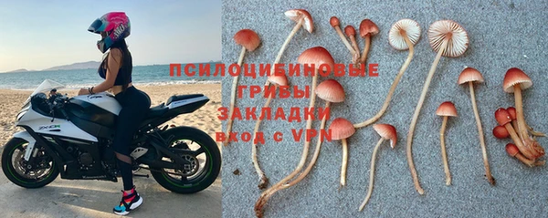 хмурый Карпинск