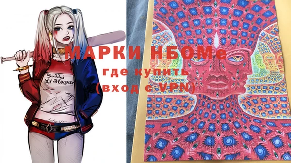 хмурый Карпинск