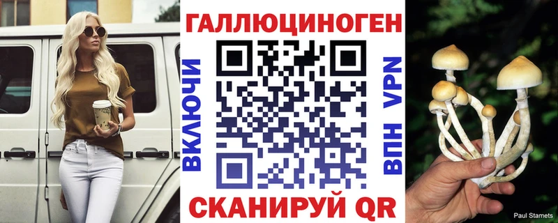 Галлюциногенные грибы Psilocybe  Купить  Порхов 